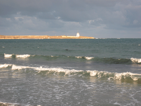 IMG_5895333.gif