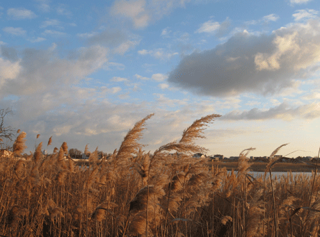 IMG_58712222.gif