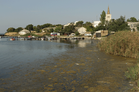 IMG_0992.gif