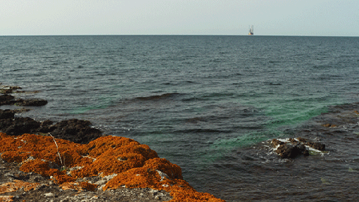 IMG_8964777.gif