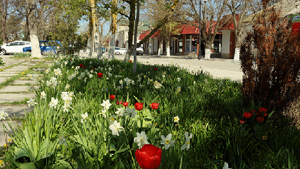 IMG_9078777.gif