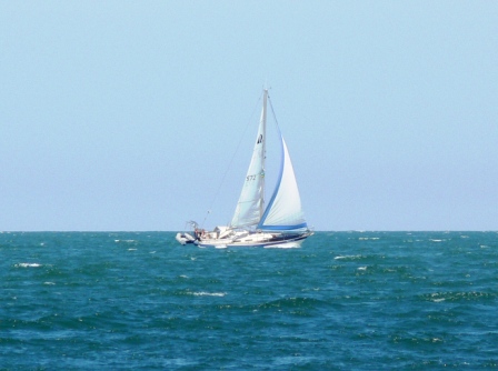 P1020254.JPG