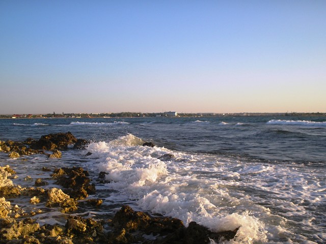 P1010068.JPG