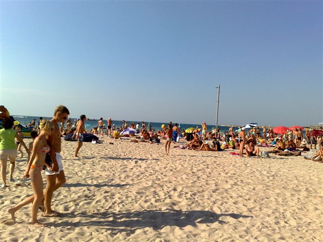 05082008762.jpg