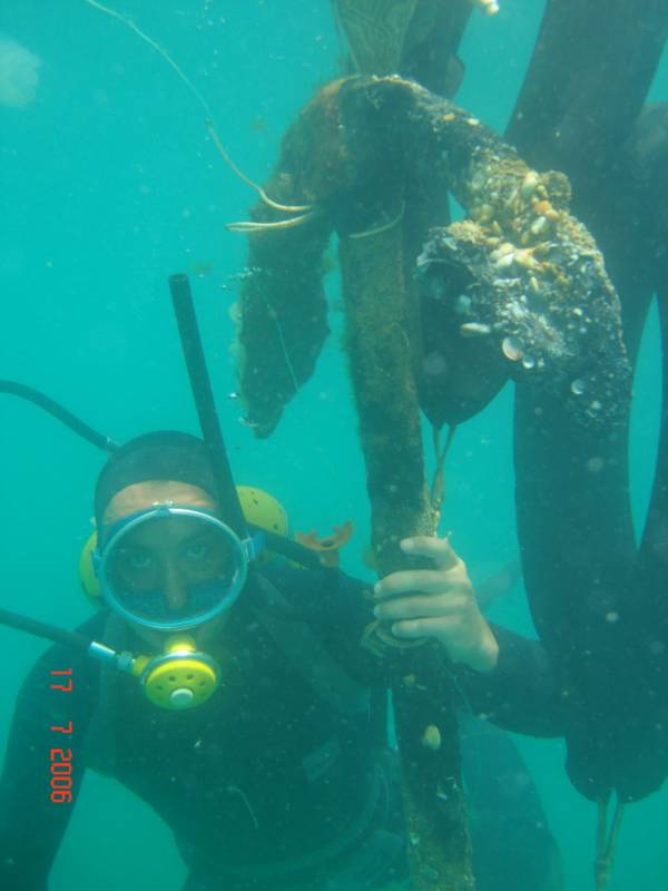 dive1.jpg