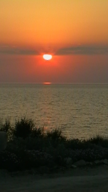 IMGA0793.JPG