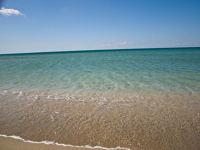 P7215669.jpg
