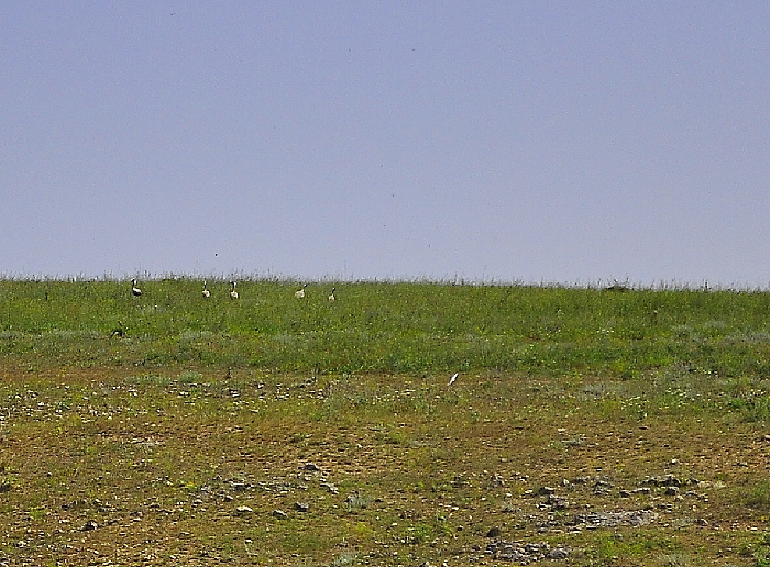 _DSC3776.JPG